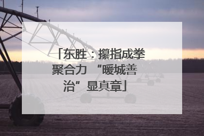 东胜：攥指成拳聚合力 “暖城善治”显真章