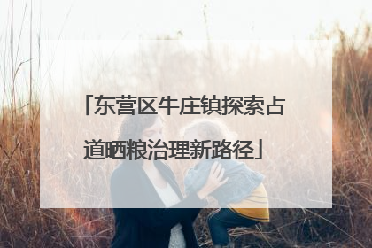 东营区牛庄镇探索占道晒粮治理新路径