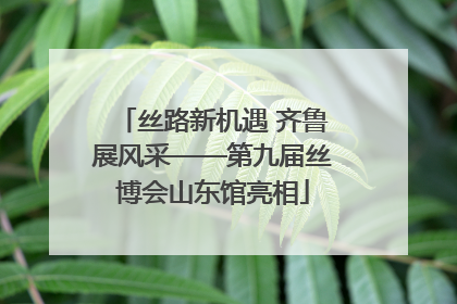 丝路新机遇 齐鲁展风采——第九届丝博会山东馆亮相