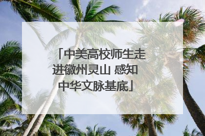中美高校师生走进徽州灵山 感知中华文脉基底