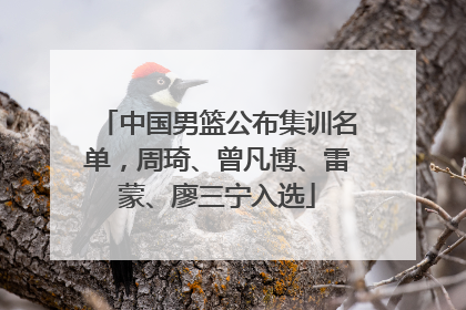 中国男篮公布集训名单，周琦、曾凡博、雷蒙、廖三宁入选