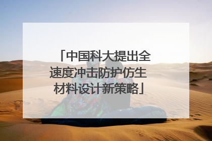 中国科大提出全速度冲击防护仿生材料设计新策略