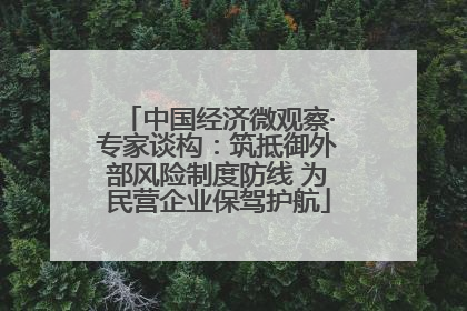 中国经济微观察·专家谈构：筑抵御外部风险制度防线 为民营企业保驾护航