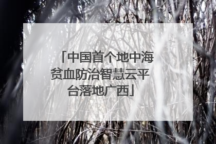 中国首个地中海贫血防治智慧云平台落地广西