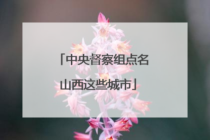 中央督察组点名山西这些城市