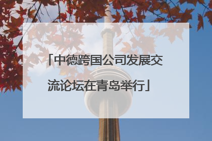 中德跨国公司发展交流论坛在青岛举行