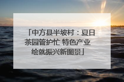 中方县半坡村：夏日茶园管护忙 特色产业绘就振兴新图景