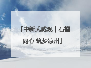 中新武威观｜石榴同心 筑梦凉州