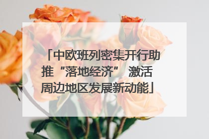 中欧班列密集开行助推“落地经济” 激活周边地区发展新动能