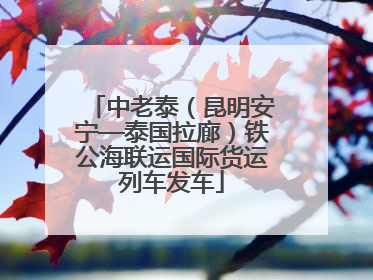 中老泰（昆明安宁—泰国拉廊）铁公海联运国际货运列车发车