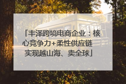 丰泽跨境电商企业：核心竞争力+柔性供应链 实现越山海、卖全球
