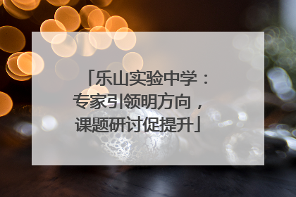 乐山实验中学：专家引领明方向，课题研讨促提升