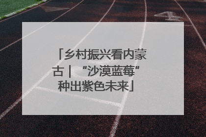 乡村振兴看内蒙古｜“沙漠蓝莓”种出紫色未来