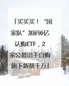 买买买！“国家队”加码6亿认购ETF，2家公募出手自购旗下新基千万