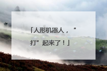 人形机器人，“打”起来了！
