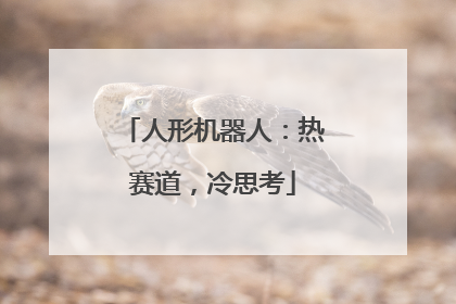 人形机器人：热赛道，冷思考