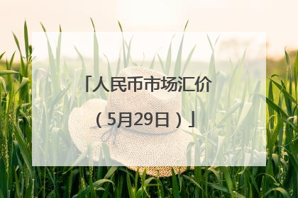 人民币市场汇价（5月29日）