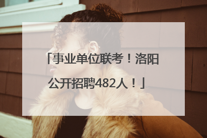 事业单位联考！洛阳公开招聘482人！