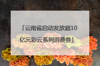 云南省启动发放超10亿元彩云系列消费券