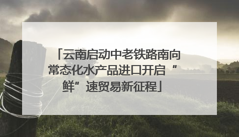 云南启动中老铁路南向常态化水产品进口开启“鲜”速贸易新征程