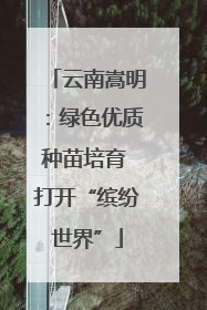 云南嵩明：绿色优质种苗培育 打开“缤纷世界”