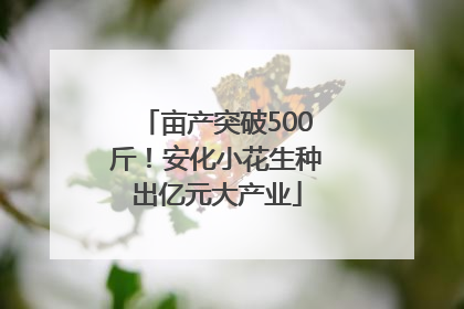 亩产突破500斤！安化小花生种出亿元大产业