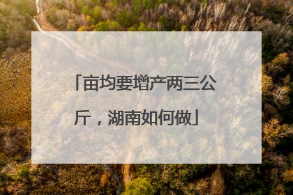 亩均要增产两三公斤，湖南如何做