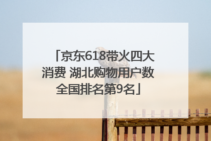 京东618带火四大消费 湖北购物用户数全国排名第9名