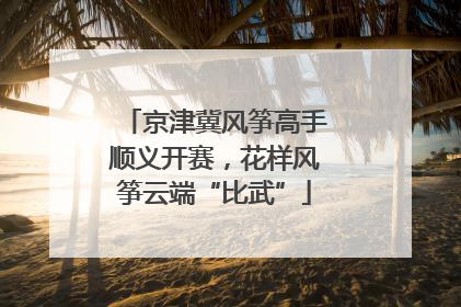京津冀风筝高手顺义开赛，花样风筝云端“比武”