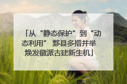 从“静态保护”到“动态利用” 黟县多措并举焕发徽派古建新生机