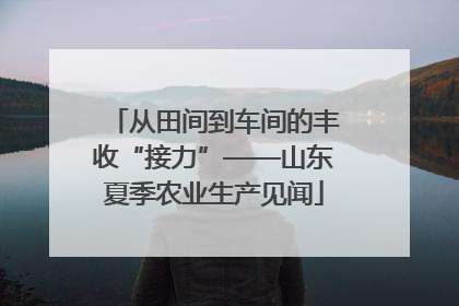 从田间到车间的丰收“接力”——山东夏季农业生产见闻