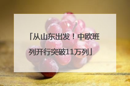 从山东出发！中欧班列开行突破11万列
