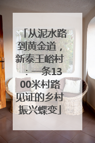 从泥水路到黄金道，新泰王峪村：一条1300米村路见证的乡村振兴蝶变