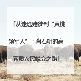 从迷途赌徒到“黄桃领军人”：肖石明的高素质农民蜕变之路