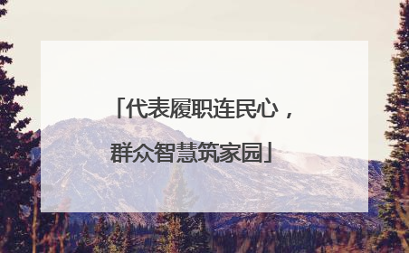 代表履职连民心，群众智慧筑家园