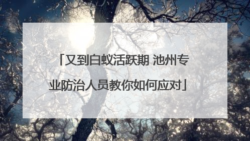 又到白蚁活跃期 池州专业防治人员教你如何应对