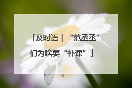 及时语｜“范丞丞”们为啥要“补课”