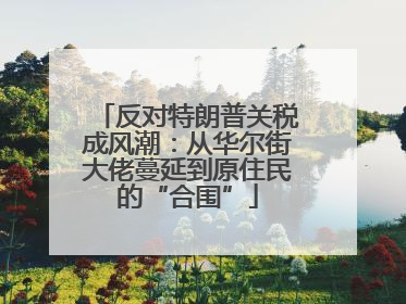 反对特朗普关税成风潮：从华尔街大佬蔓延到原住民的“合围”