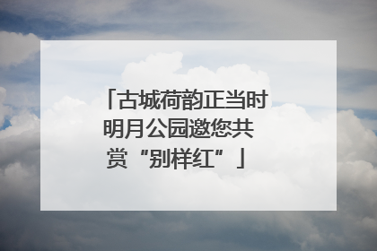 古城荷韵正当时 明月公园邀您共赏“别样红”