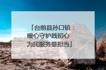 台前县孙口镇：暖心守护践初心 为民服务显担当
