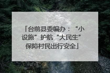 台前县委编办：“小设施”护航“大民生” 保障村民出行安全
