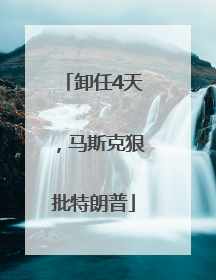 卸任4天，马斯克狠批特朗普