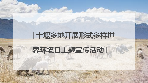 十堰多地开展形式多样世界环境日主题宣传活动