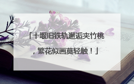 十堰旧铁轨邂逅夹竹桃，繁花似画莫轻触！