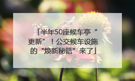 半年50座候车亭“更新”！公交候车设施的“焕新秘籍”来了