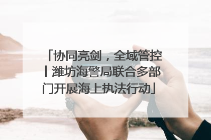 协同亮剑，全域管控丨潍坊海警局联合多部门开展海上执法行动
