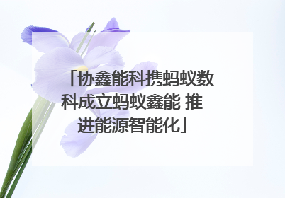 协鑫能科携蚂蚁数科成立蚂蚁鑫能 推进能源智能化