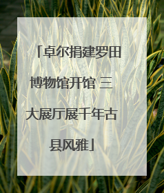 卓尔捐建罗田博物馆开馆 三大展厅展千年古县风雅
