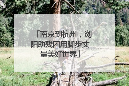 南京到杭州，浏阳助残团用脚步丈量美好世界