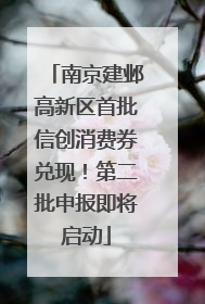 南京建邺高新区首批信创消费券兑现！第二批申报即将启动
